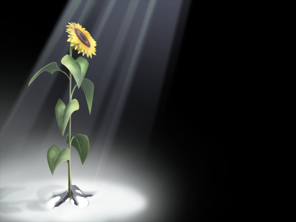 ͮ��ΤҤޤ�꤬����ޤ��褦��